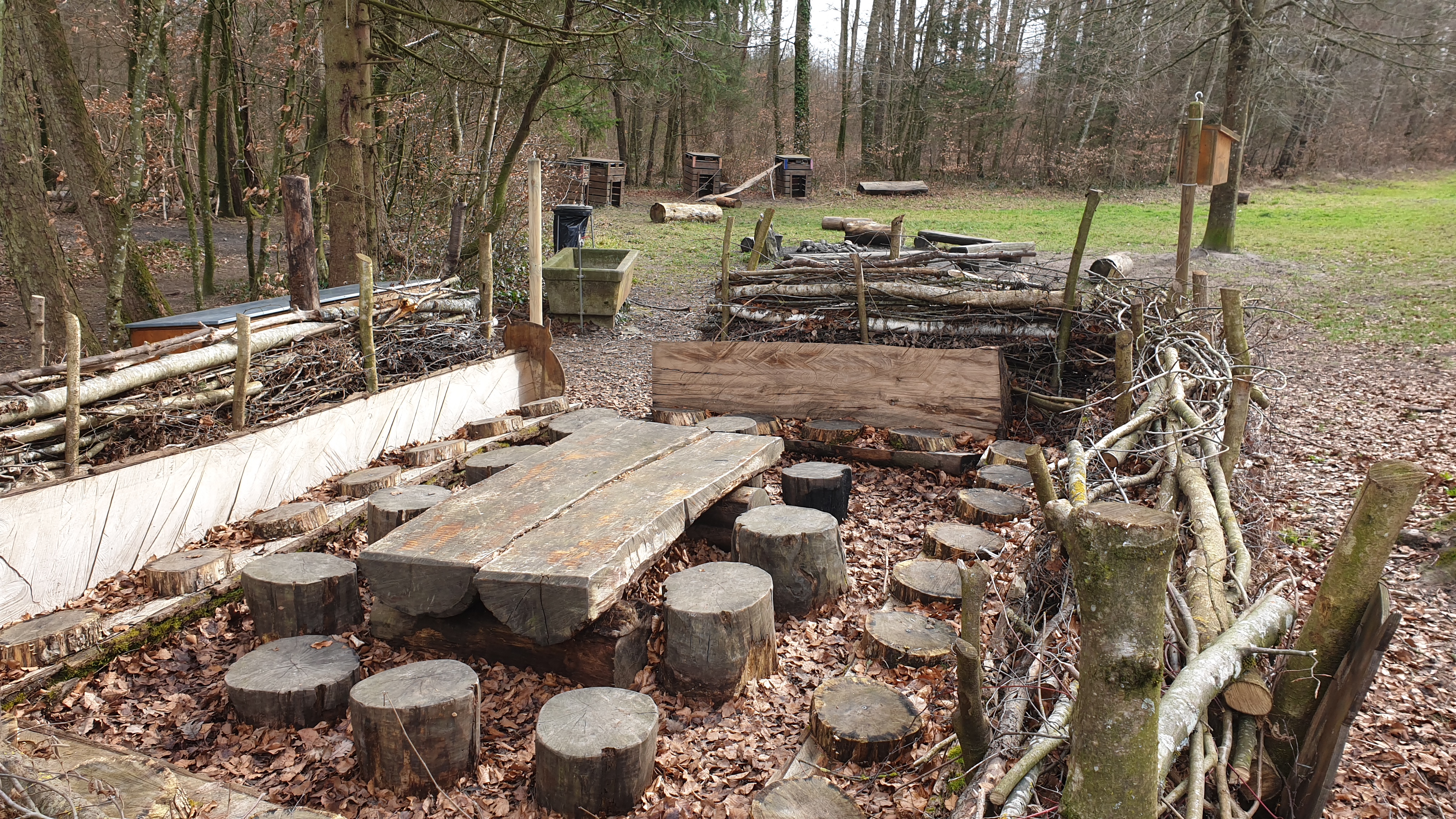 Canapé forestier à Faoug de prêt