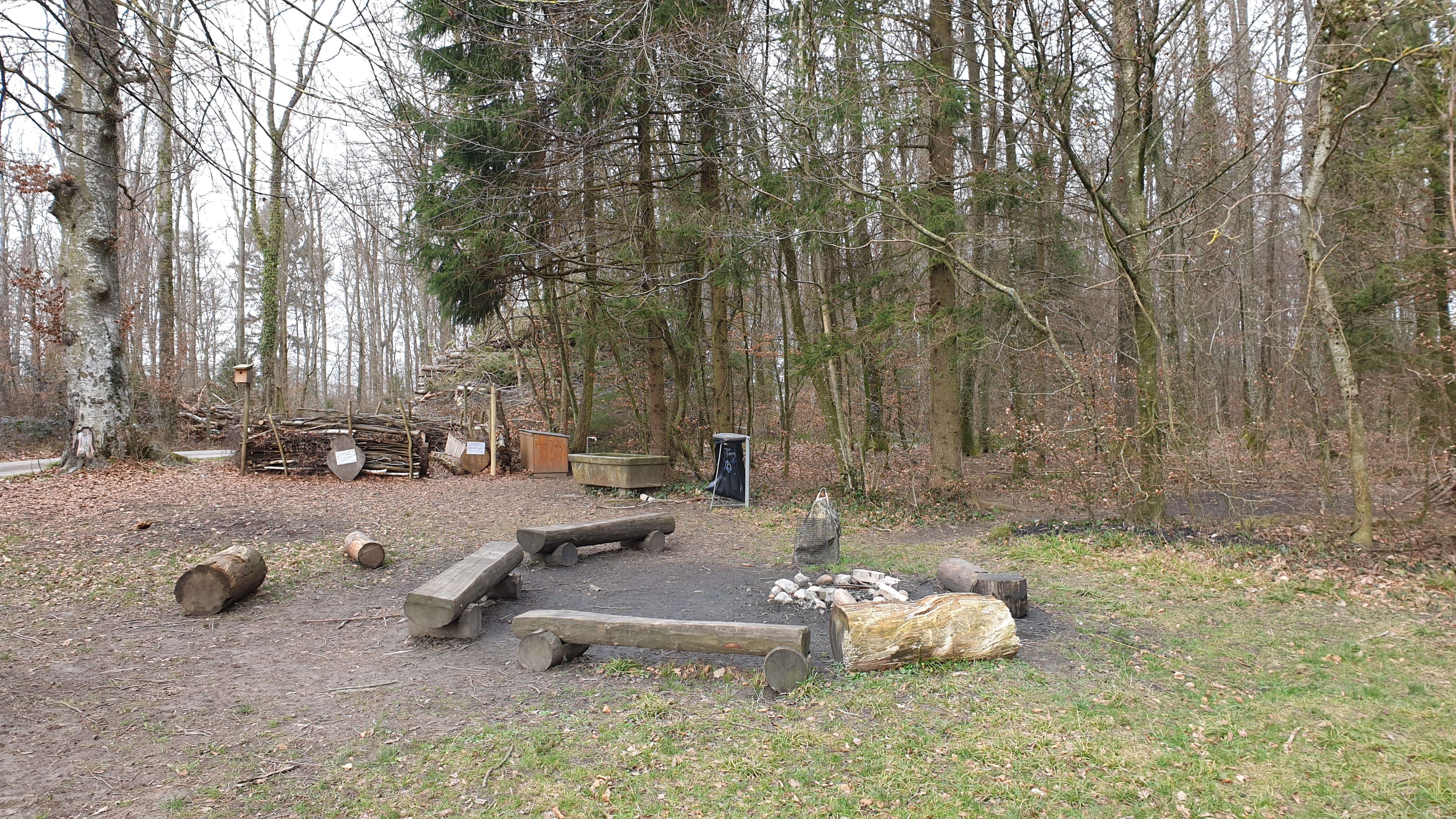 Canapé forestier à Faoug et feu de camp